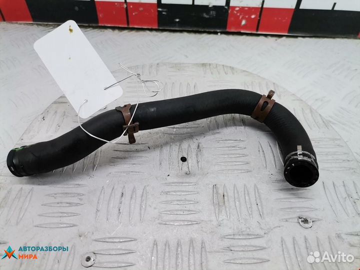 Патрубок радиатора Renault Scenic рест. 2002