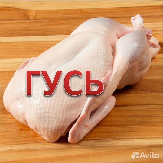 Мясо домашнего гуся