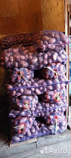 Картошка оптом