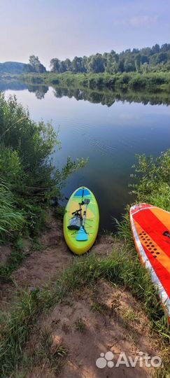 Sup board аренда