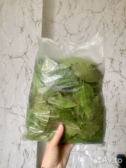 Лавровый лист