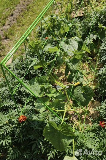 Шпалера для огурцов и гороха