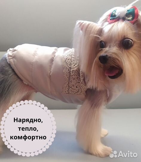 Жилетка для собак