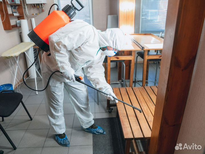 Дезинсекция. Гарантия на все