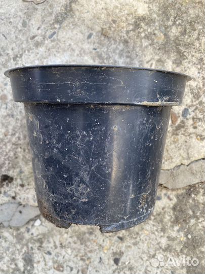 Горшки 50 штук