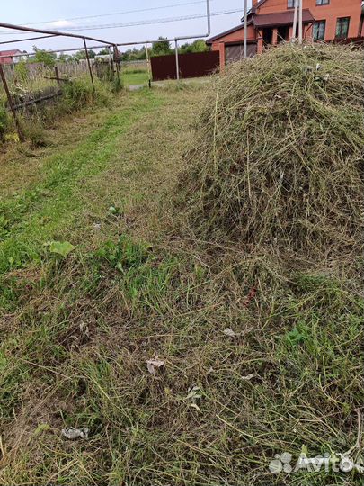 Отдам сено готовое сухое скошенной косой