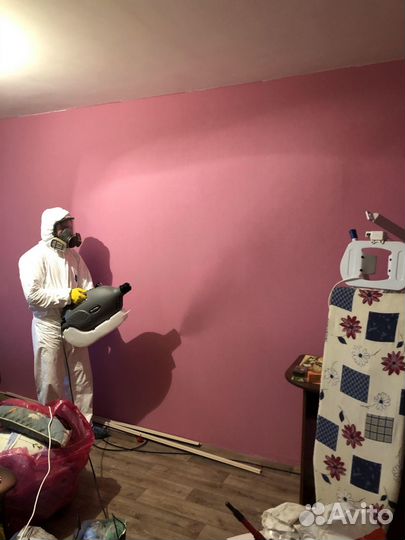 Обработка от тараканов, уничтожение клопов