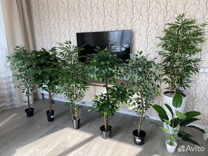 Искусственные растения и деревья