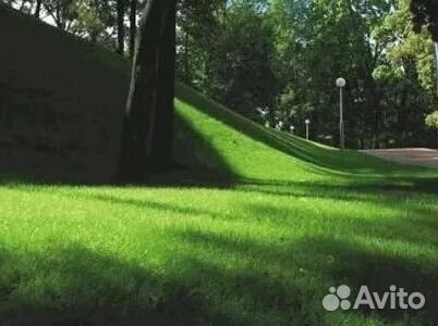 Укладка Рулонного газона