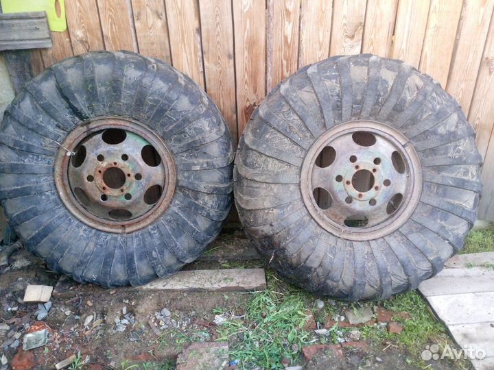 Ободрыши Урал