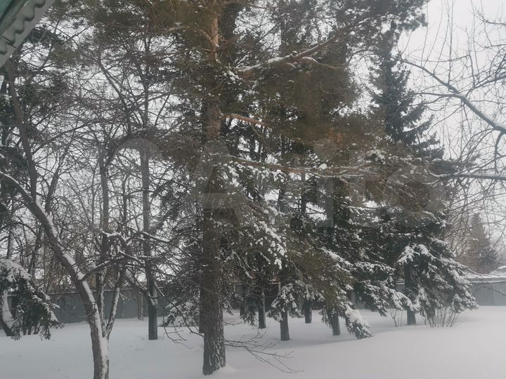 Участок 10 сот. (СНТ, ДНП)