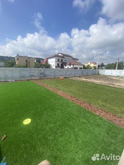 Рулонный газон под ключ