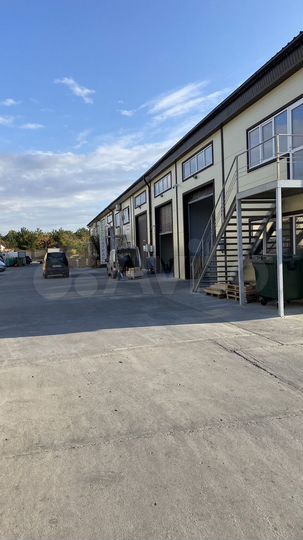 Свободного назначения, 226 м²