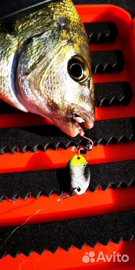 Булер для морской рыбалки