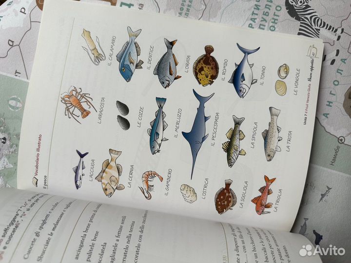 Итальянские учебники. Cucina italiana