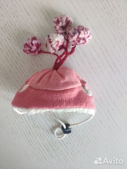 Шапка для маленькой собачки