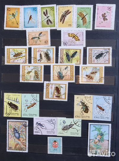 Почтовые марки СССР альбом