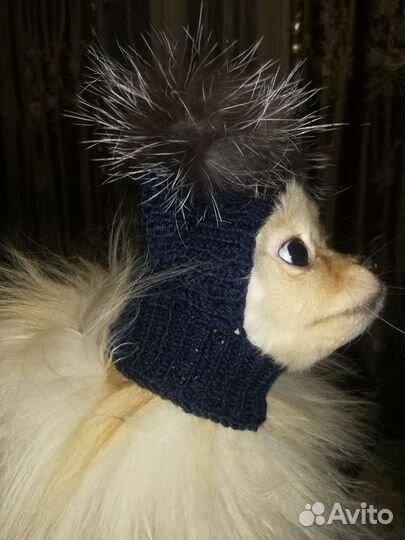 Шапка для животных