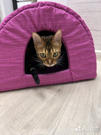 Домик лежанка для кошки