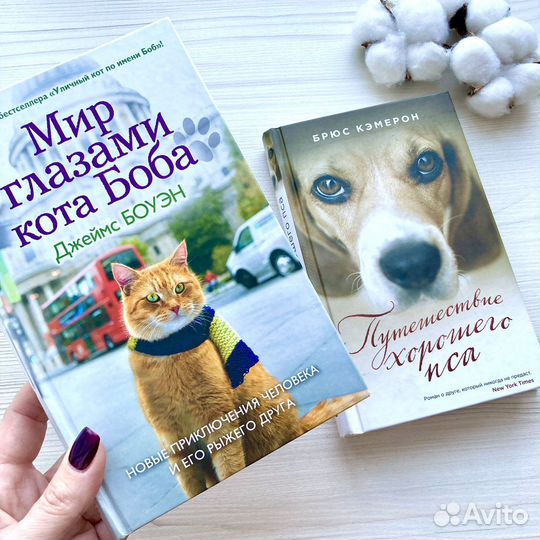 Много книг/ книга