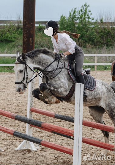 Индивидуальные занятия