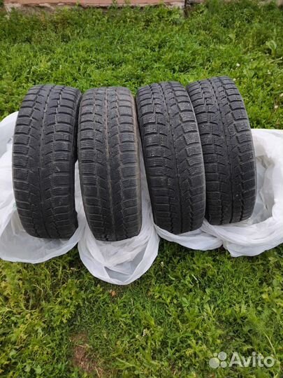 Cordiant Polar SL 195/65 R15