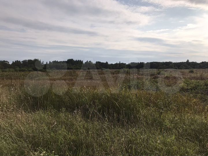 Участок 10 га (СНТ, ДНП)