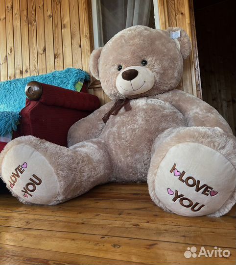 Плюшевый медведь