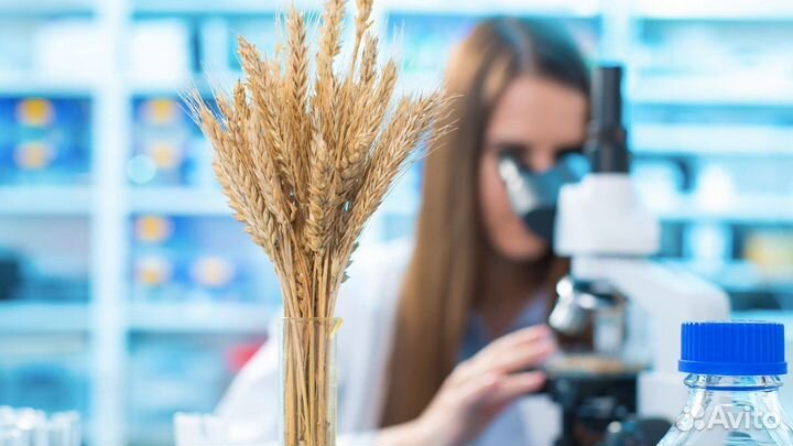 Лаборант в зерновую лабораторию (Вахта) Без опыта