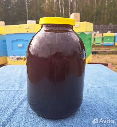 Мед гречишный, Иван чай 2023