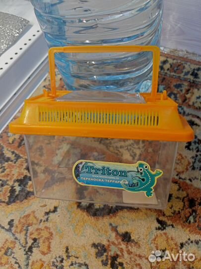 Террариум переноска