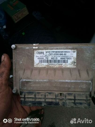 Эбу мозги микас газель соболь