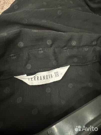 Блузка terrenova xs