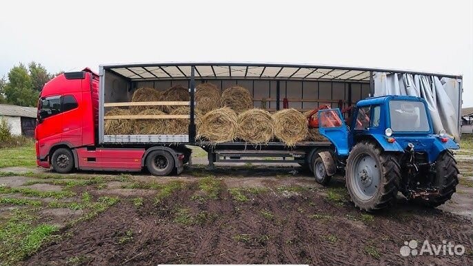 Перевозка сено