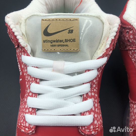 Nike X stingwater SB dunk LOW magic mushroom