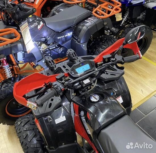 Квадроцикл motorhead 125 hammer