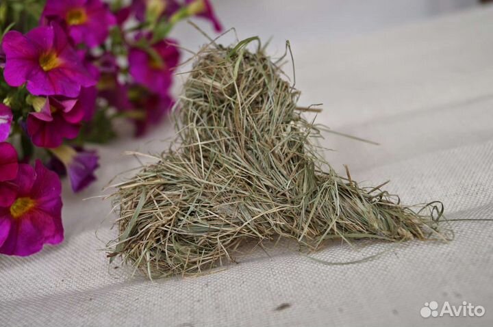 Набор сухоцвета для декора