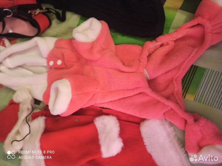 Одежда для маленьких собак