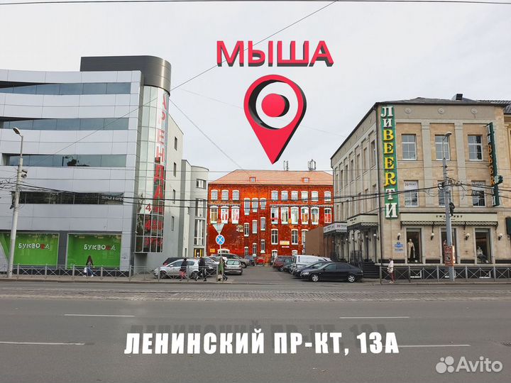 Внешний жесткий диск 320Gb