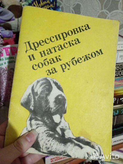 Книги разных жанров и авторов