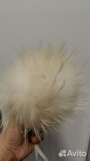 Помпоны Енот