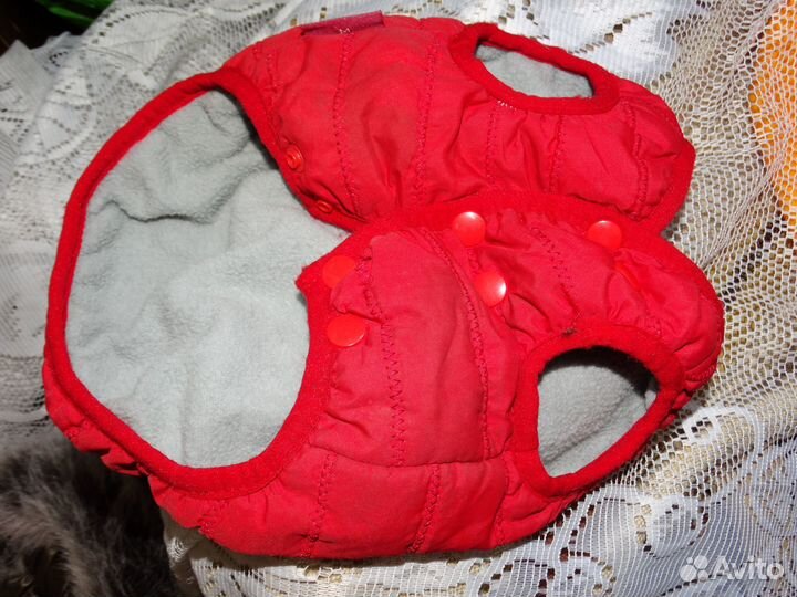 Одежда для совсем маленькой собаки