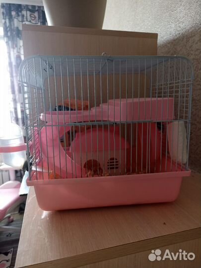 Джунгарский хомяк с клеткой