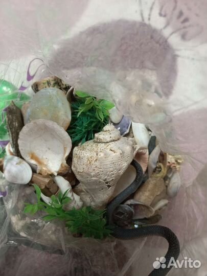 Грунт, фильтр