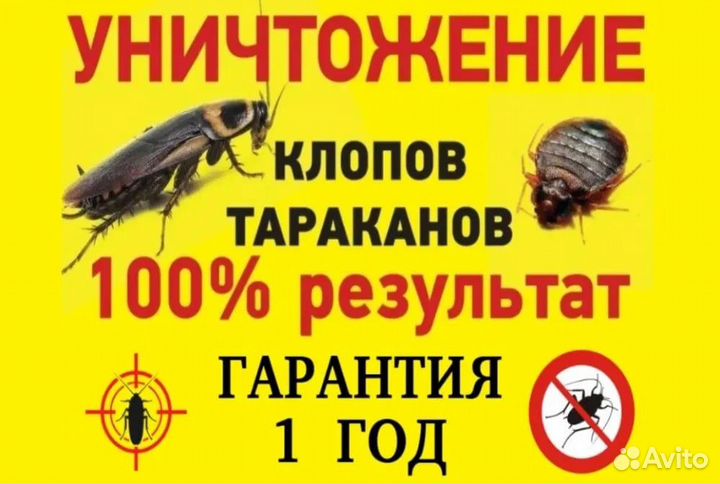 Услуги дезинсекции