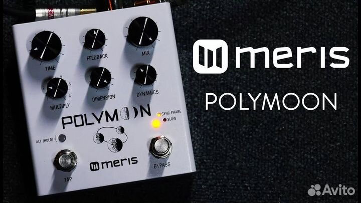 Meris polymoon