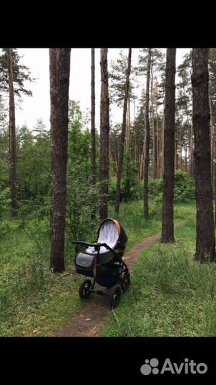 Коляска 2 в 1 adamex barletta