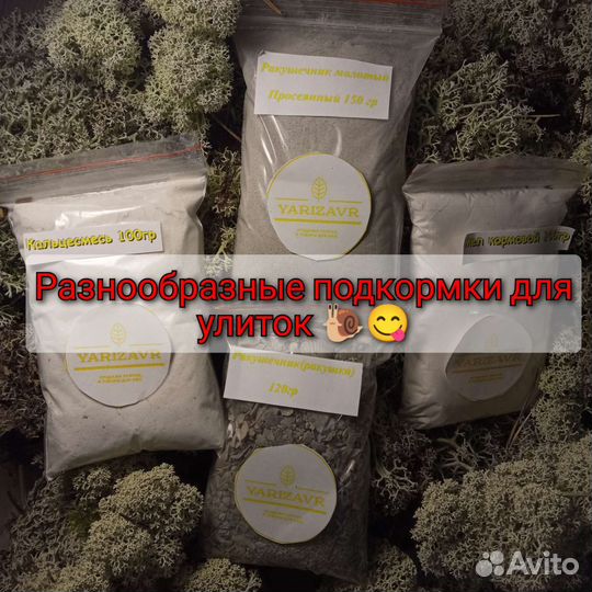 Подкормки для улиток