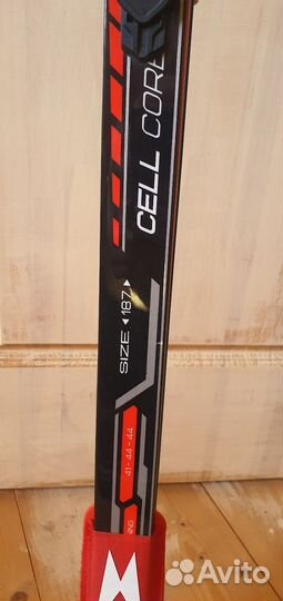 Лыжи беговые коньковые, ботинки, палки