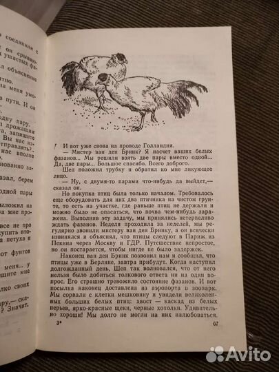 Д. Даррел Поймайте мне колобуса, Золотые крыланы